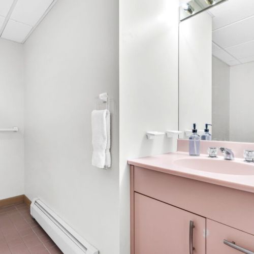 Lower Level Bathroom
