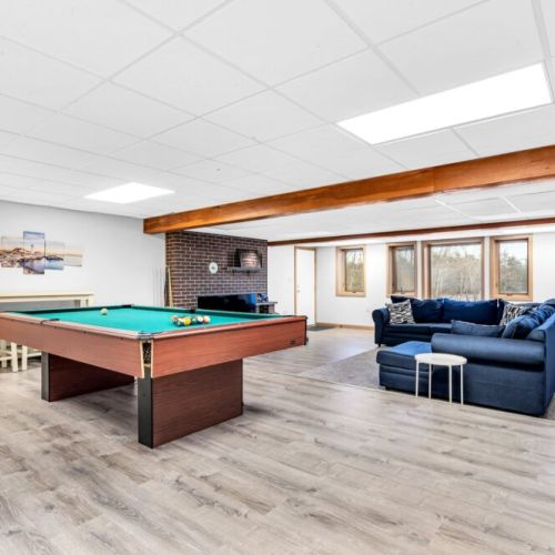 Lower Level Living Space