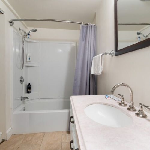 Lower Level Bath