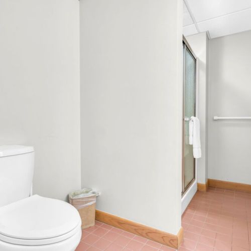 Lower Level Bathroom