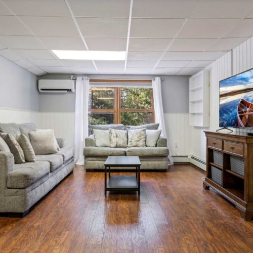 Lower level common area